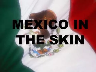 MEXICO IN THE SKIN