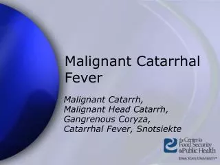 Malignant Catarrhal Fever