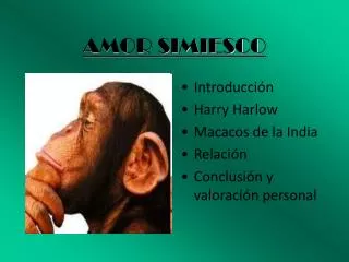 amor simiesco