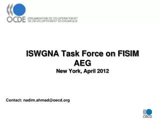 ISWGNA Task Force on FISIM AEG New York, April 2012