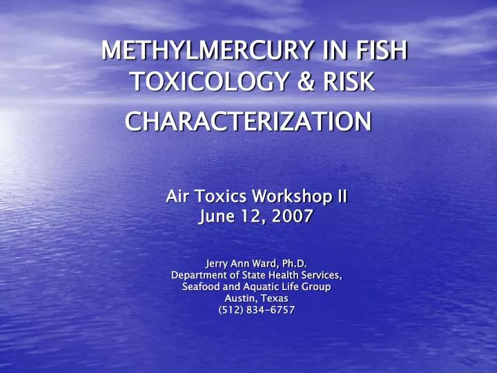 methylmercury in fish toxicology risk characterization