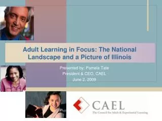 Adult Learning in Focus: The National Landscape and a Picture of Illinois