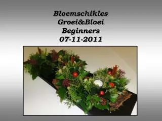 bloemschikles groei bloei beginners 07 11 2011