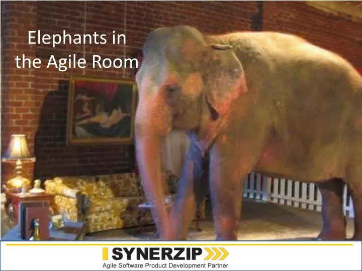 elephants in the agile room