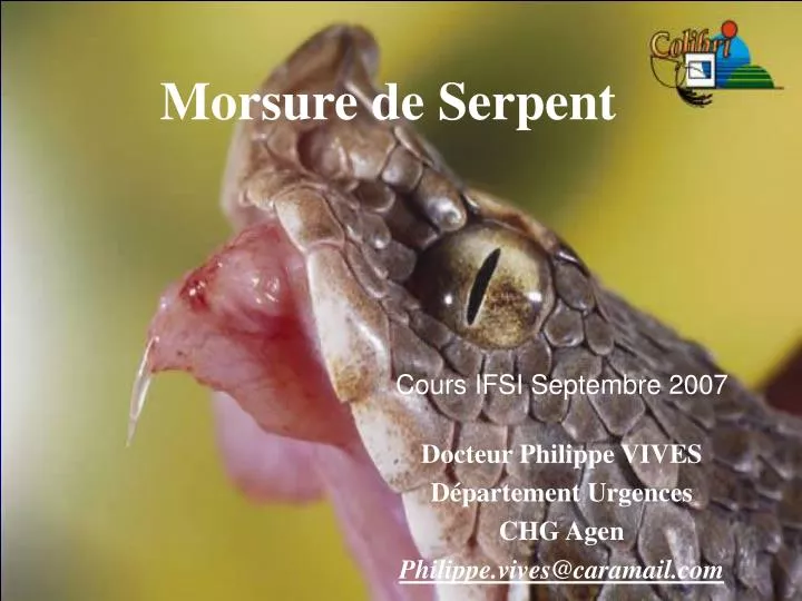 morsure de serpent