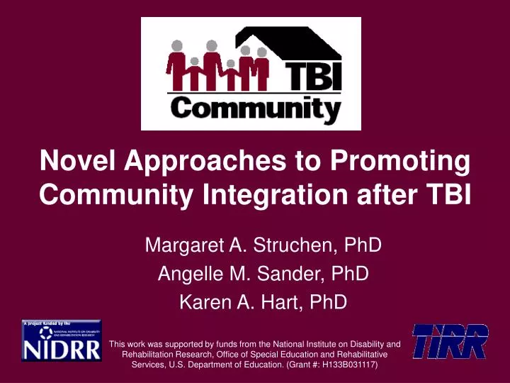 novel approaches to promoting community integration after tbi
