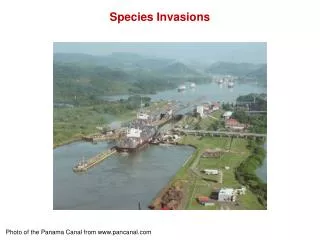 Photo of the Panama Canal from www.pancanal.com