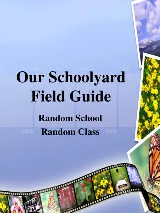 Our Schoolyard Field Guide