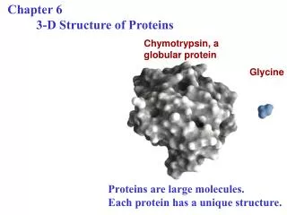 Chapter 6 	3-D Structure of Proteins