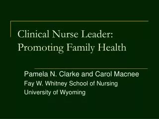 Clinical Nurse Leader: Promoting Family Health