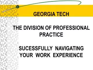 GEORGIA TECH THE DIVISION OF PROFESSIONAL PRACTICE SUCESSFULLY NAVIGATING YOUR WORK EXPERIENCE