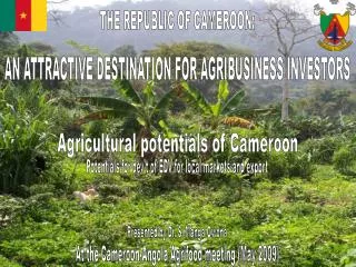 THE REPUBLIC OF CAMEROON: