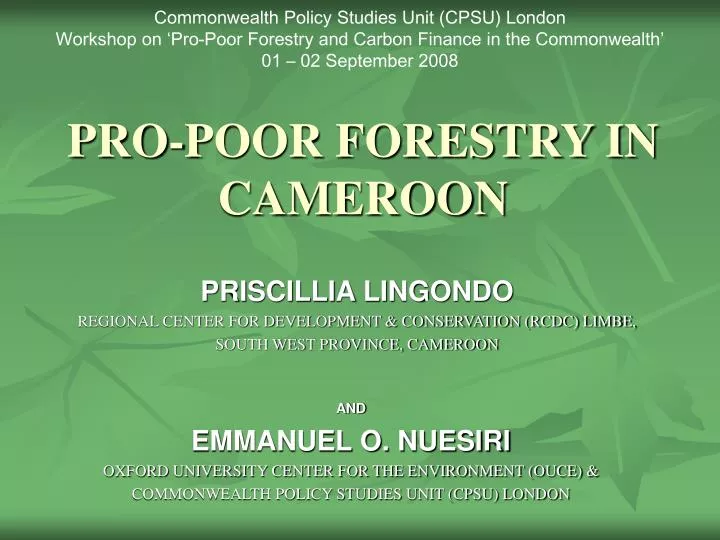 pro poor forestry in cameroon