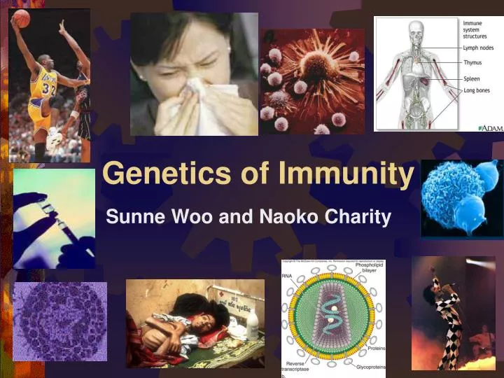 genetics of immunity