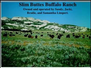 Slim Buttes Buffalo Ranch Owned and operated by Sandy, Jacki, Brodie, and Samantha Limpert.