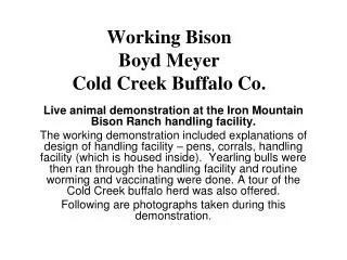 Working Bison Boyd Meyer Cold Creek Buffalo Co.