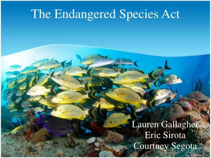the endangered species act