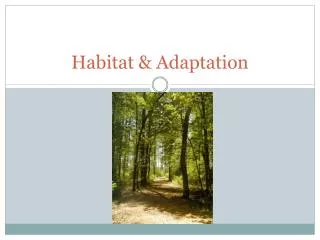 Habitat &amp; Adaptation