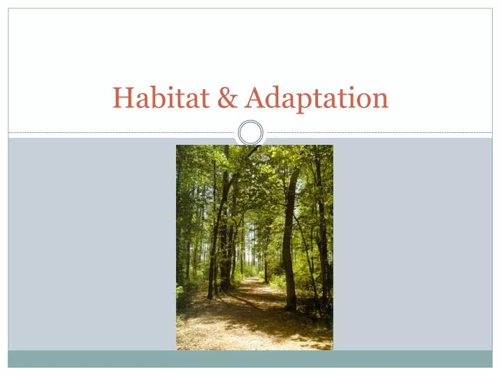 habitat adaptation