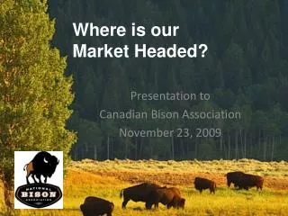Where is our Market Headed?