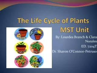 The Life Cycle of Plants MST Unit