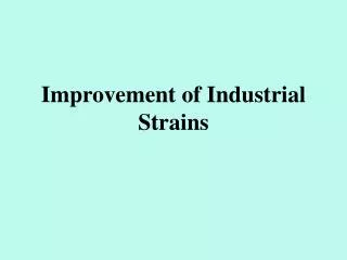 Improvement of Industrial Strains