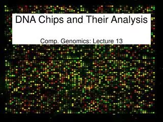 DNA Chips and Their Analysis Comp. Genomics: Lecture 13