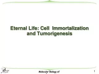 Eternal Life: Cell Immortalization and Tumorigenesis