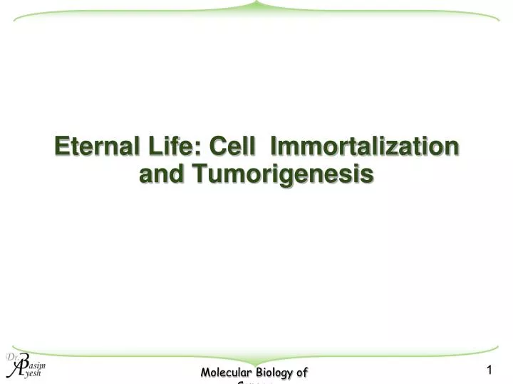 eternal life cell immortalization and tumorigenesis
