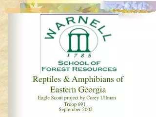 Reptiles &amp; Amphibians of Eastern Georgia