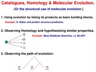 Catalogues, Homology &amp; Molecular Evolution.