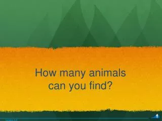 How many animals can you find?