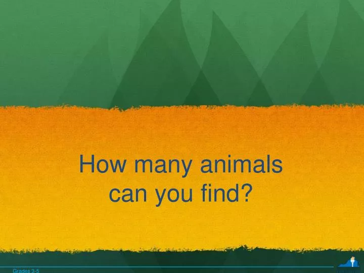 how many animals can you find