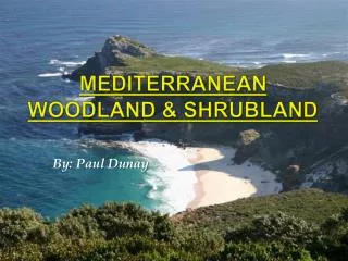 Mediterranean Woodland &amp; Shrubland