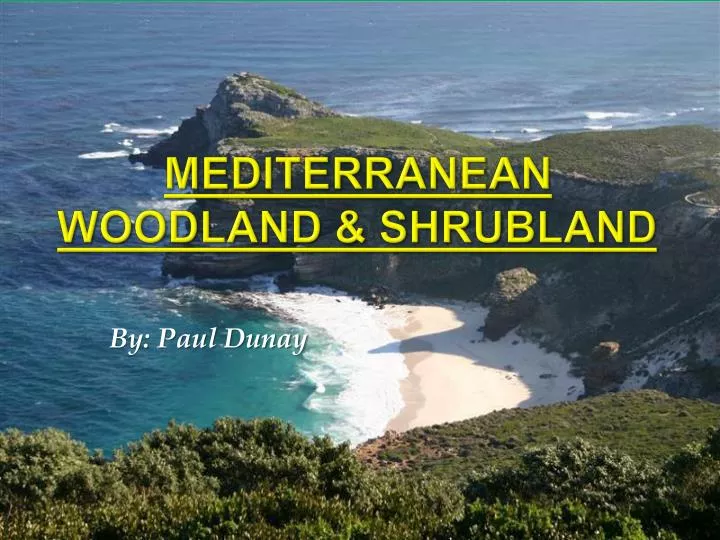 mediterranean woodland shrubland