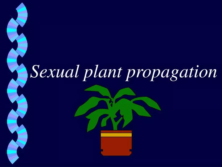 sexual plant propagation
