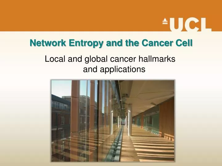 network entropy and the cancer cell