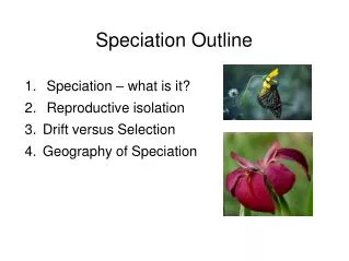 Speciation Outline