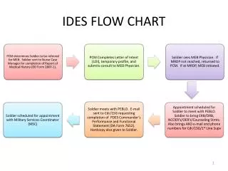 IDES FLOW CHART