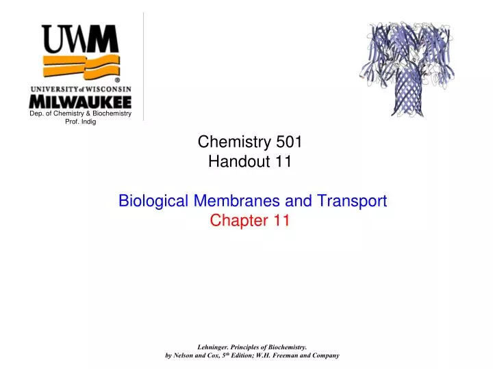 chemistry 501 handout 11 biological membranes and transport chapter 11