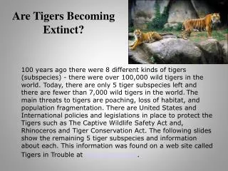 Are Tigers Becoming Extinct?