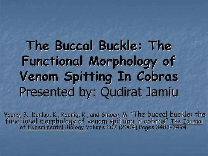 the buccal buckle the functional morphology of venom spitting in cobras presented by qudirat jamiu