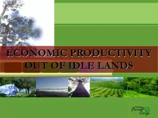 ECONOMIC PRODUCTIVITY OUT OF IDLE LANDS