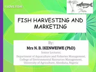 FISH HARVESTING AND MARKETING