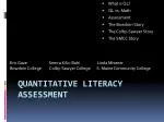 Quantitative Literacy assessment