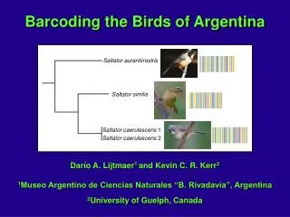 Barcoding the Birds of Argentina