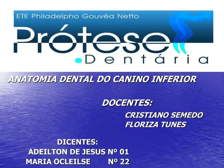 anatomia dental do canino inferior docentes cristiano semedo floriza tunes