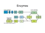 Enzymes