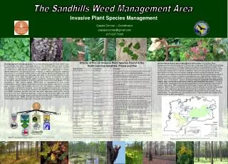 The Sandhills Weed Management Area