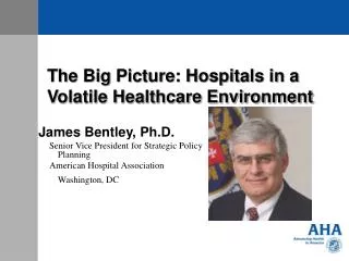 The Big Picture: Hospitals in a Volatile Healthcare Environment